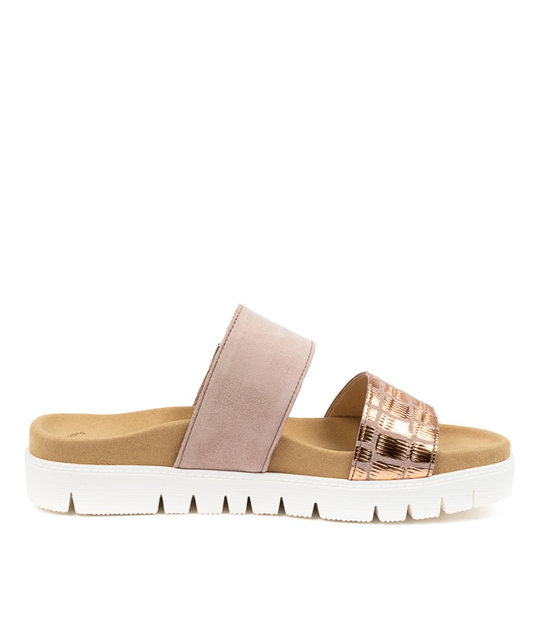 Gabor Harpe Anticrosa